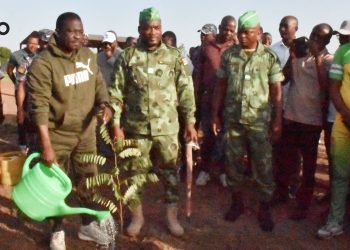Ogou/lancement de la campagne nationale de reboisement 2026 : plus de 7 000 plants mis en terre dans les Plateaux