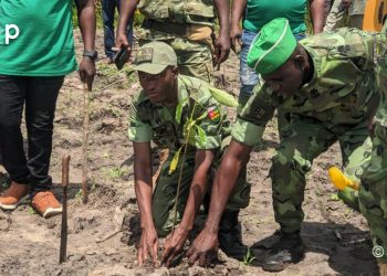 Agou/Environnement : L’UOEFBA met en terre 695 plants à Kpodzahon