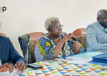Assoli /la demande en ligne du certificat de nationalité vulgarisée à Bafilo