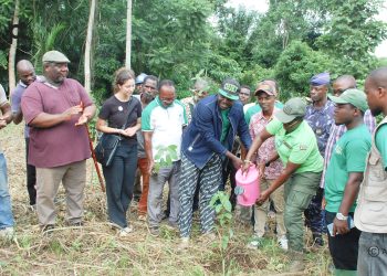 Kloto/Campagne de reboisement : 4000 plants mis en terre au CEG de Yéviépé