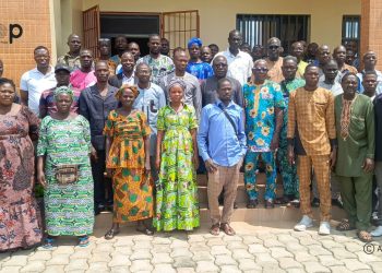 Ogou/Coton :  La région des Plateaux vise 35.000 tonnes en 2027