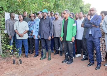 Campagne nationale de reboisement 2026 :  Le ministre Kokoroko annonce 16 millions de plants à mettre en terre