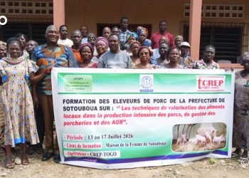 Sotouboua : Des éleveurs de porcs renforcent leurs compétences en alimentation et gestion des porcheries