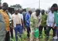 Kozah/ Plus de 500 plants mis en terre sur le site du futur siège du Conseil régional de la Kara