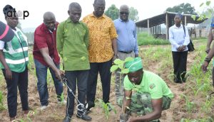 18 Le DPE demontrant comment mettre en terre un plant