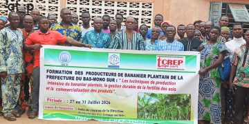 Bas-Mono : Des producteurs en formation sur les techniques de la culture du bananier plantain