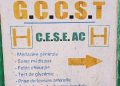 En 24 ans, les actions du GCCST ont impacté plus de 700 000 bénéficiaires directs 4 En 24 ans, les actions du GCCST ont impacté plus de 700 000 bénéficiaires directs