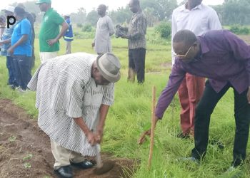 Binah : Les élus de la préfecture ont mis en terre 700 plants à Kawa