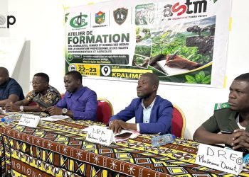 Kloto/Environnement et agriculture :  Le CADR renforce les capacités des professionnels des médias