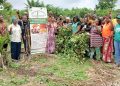 Yoto/Promotion de la patate douce à chair orange : Des producteurs outillés sur les opportunités de la filière