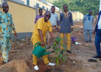 Ogou/Environnement :  La DRE Plateaux-Est reboise le site de ses locaux