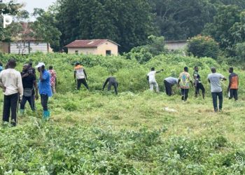 Ogou/ «Togo propre» : Les populations des Plateaux-Est mobilisées pour assainir leur environnement