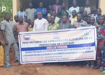 Oti-sud : 60 éleveurs de volailles et de petits ruminants outillés sur les bonnes pratiques