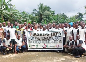 Wawa : la SCOOPS-Ikpa renforce l’accompagnement des producteurs avec le projet « Equité 3 »