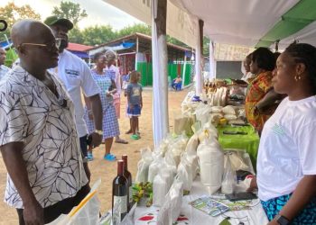 4è Foire internationale de Blitta : Des agripreneurs et coopératives bénéficiaires du PRIMA-Togo satisfaits de l’accompagnement