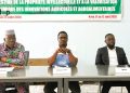Kozah : la FAO outille des jeunes entrepreneurs agricoles sur la protection de leurs innovations