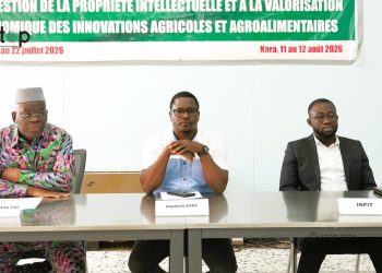 Kozah : la FAO outille des jeunes entrepreneurs agricoles sur la protection de leurs innovations