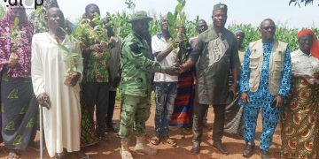 Cinkassé/campagne de reboisement : 33.097 plants distribués dans trois cantons de la préfecture 5 Cinkassé/campagne de reboisement : 33.097 plants distribués dans trois cantons de la préfecture