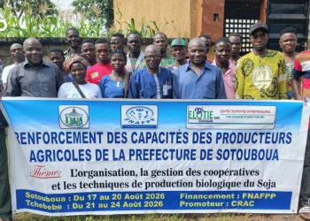 Sotouboua : 30 producteurs s’outillent en technique de production biologique de soja