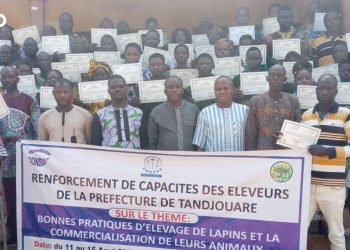 Tandjouaré : Des éleveurs de lapins outillés pour mieux produire et commercialiser