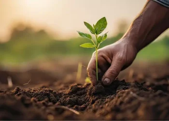 Agroécologie et innovations technologiques : deux leviers pour une agriculture durable