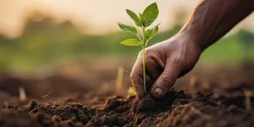 Agroécologie et innovations technologiques : deux leviers pour une agriculture durable