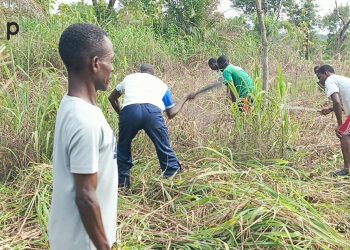 Sotouboua : Les populations de Kaniamboua aménagent un terrain destiné à un complexe sportif