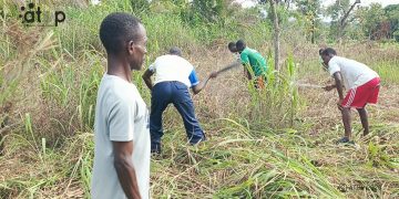 Sotouboua : Les populations de Kaniamboua aménagent un terrain destiné à un complexe sportif