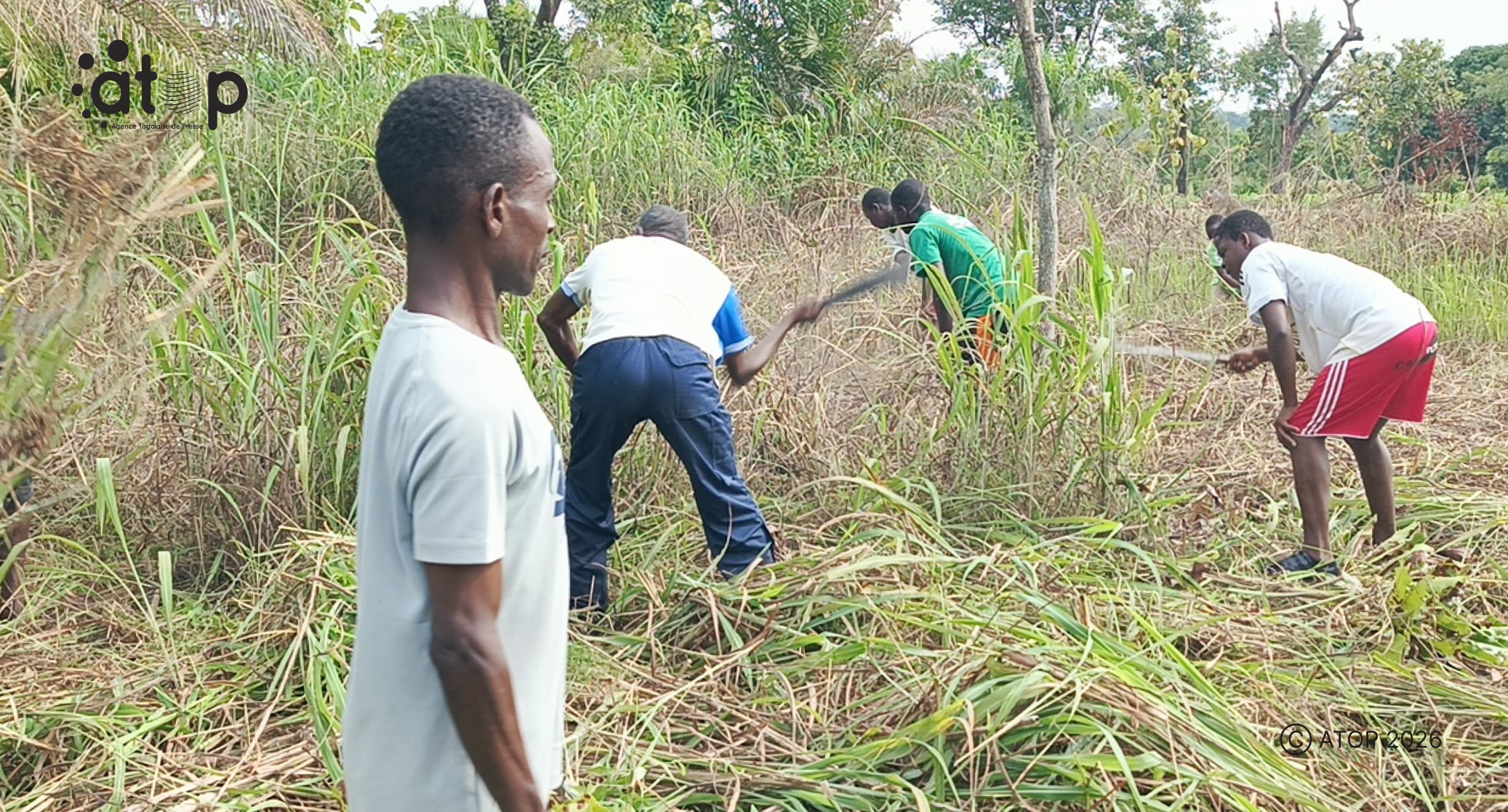 62 Des participants en pleine activite