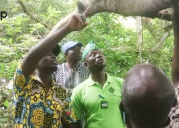 Avé : Lancement du processus de création d’une forêt communautaire