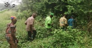 75 Une visite dans la petite foret de Tsiviepe