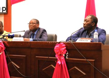 Morsures de serpent : Plus de 4 000 cas enregistrés chaque année au Togo