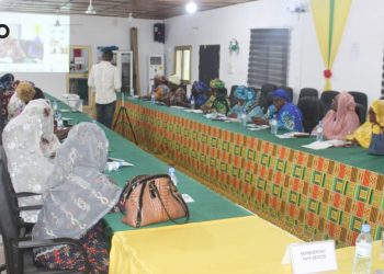 Engagement politique des femmes : Un webinaire réunit les élues du Togo, du Bénin et leurs partenaires du Grand Est en France