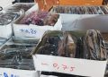 Une campagne de distribution de verres médicaux à Sotouboua