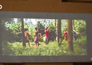 Doufelgou / lutte contre les VBG : Une projection de film pour promouvoir les droits des filles