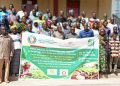 Kozah : Des producteurs de la Kara et des Savanes renforcent leurs compétences sur l’accès aux semences améliorées