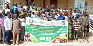 Kozah : Des producteurs de la Kara et des Savanes renforcent leurs compétences sur l’accès aux semences améliorées 5 Kozah : Des producteurs de la Kara et des Savanes renforcent leurs compétences sur l’accès aux semences améliorées