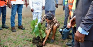 Kloto : Une délégation de la coopération allemande visite des initiatives de développement 3 8 La chef de la delegation met en terre un cacaoyer
