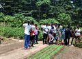 Kloto : Des jeunes découvrent l’agroécologie de la « ferme Gavisa » à Yéviépé 5 Kloto : Des jeunes découvrent l’agroécologie de la « ferme Gavisa » à Yéviépé