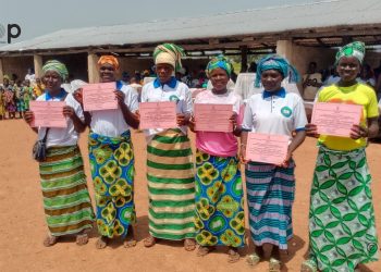 Savanes : La journée internationale de la femme rurale célébrée dans les préfectures de Tandjouaré et de Kpendjal